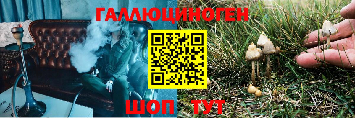 Муравленко  Галлюциногенные грибы GOLDEN TEACHER  Вход с VPN 
